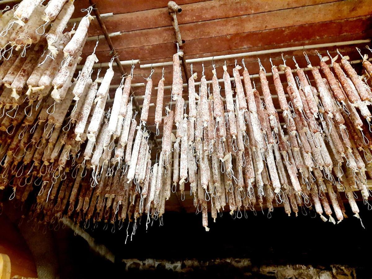 Rupinpiccolo Agriturismo Milic 빌라 외부 사진